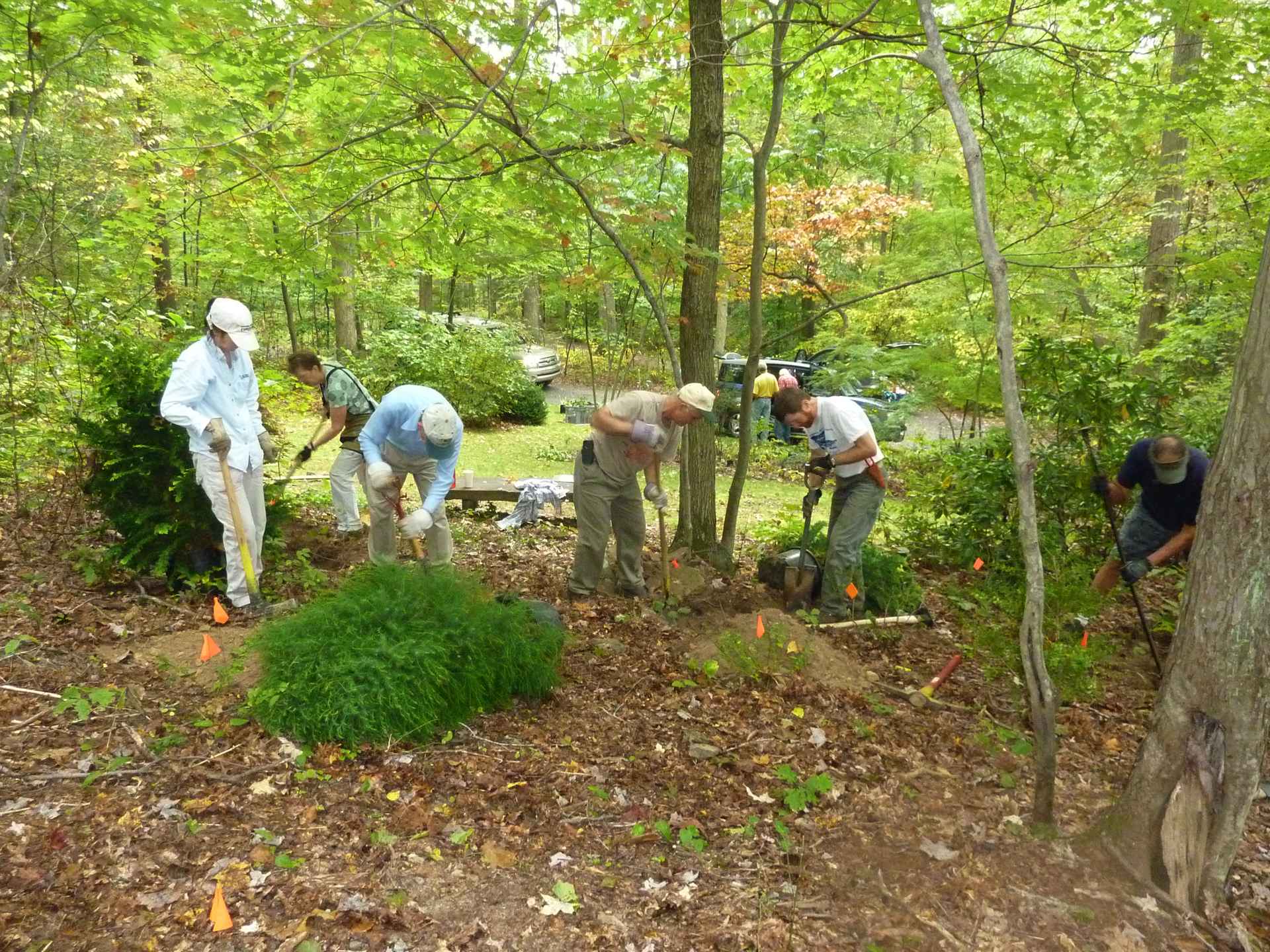 The West Virginia Botanic Garden The West Virginia Nursery And