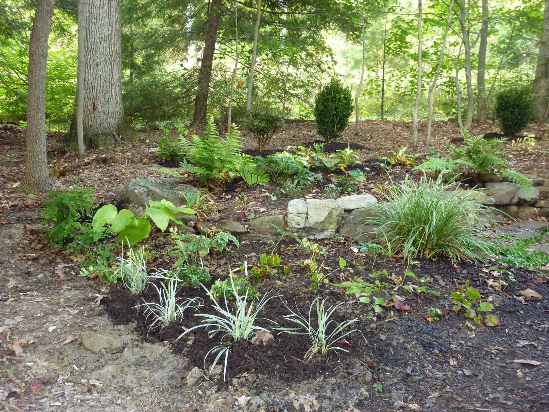 The West Virginia Botanic Garden The West Virginia Nursery And